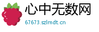 心中无数网